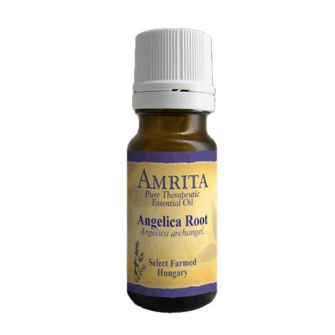 Amrita Aromatherapy Angelica Root Essential Oil,1000ml,Bottle,Each,EO3063
