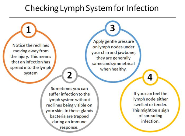 Woundcare - Infection Check List