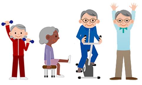 Exercise Schedule for the Elderly