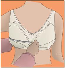 How to Measure for ABC Bra Cup size