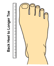 Silverts Shoe Size Measurement