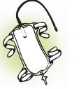 Attaching the Urinary Drainage Bag to Rochester UltraFlex Condom Catheter