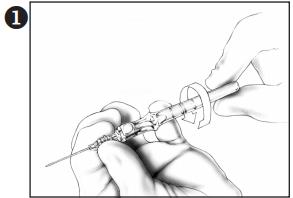 How to insert BD Insyte Autoguard Shielded IV Catheter?