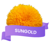 Loyalty Tier Sungold